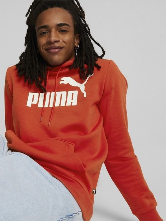 ../../aimeos/1.d/files/andriko-fouter-puma-ess-big-logo-hoodie-fl-s-586687-33329642.jpeg