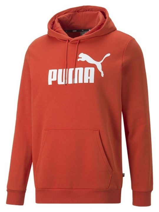 ../../aimeos/1.d/files/andriko-fouter-puma-ess-big-logo-hoodie-fl-s-586687-33329644.jpeg