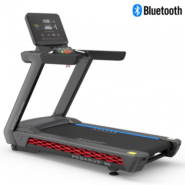 Διάδρομος Γυμναστικής Pegasus V8 3.5ΗΡ AC  Δ 355