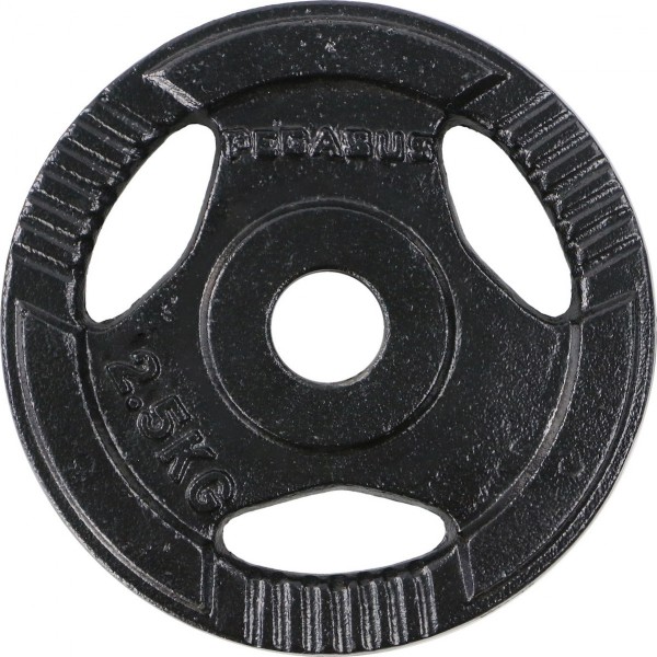 Ελεύθερα Βάρη Δίσκος Σφυρήλατος Ø29 Β 0106 (2,5kg)