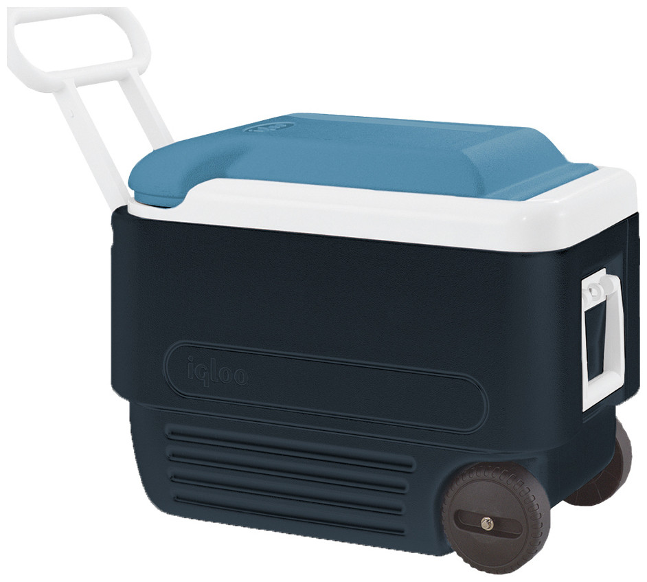 ../../aimeos/1.d/files/forito-psighio-38l-maxcold-40-roller-igloo-kod-41608406722.jpeg