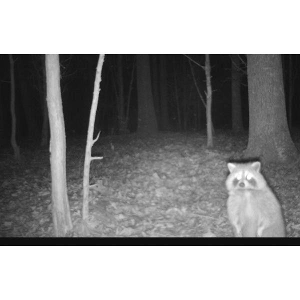 Κάμερα Μελισσοκομείων MMS/EMAIL (HC300M)