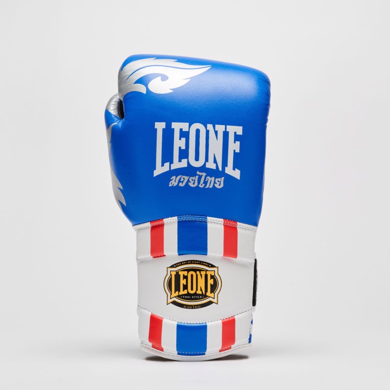 ../../aimeos/1.d/files/leone-boxing-gloves-thai-style-blue271733.jpeg