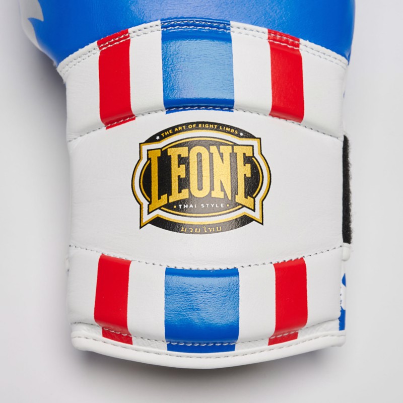../../aimeos/1.d/files/leone-boxing-gloves-thai-style-blue271735.jpeg