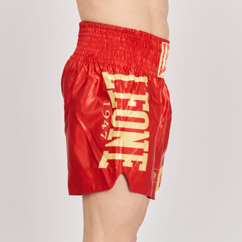 ../../aimeos/1.d/files/leone-kick-thai-shorts-dna-red270313.jpeg