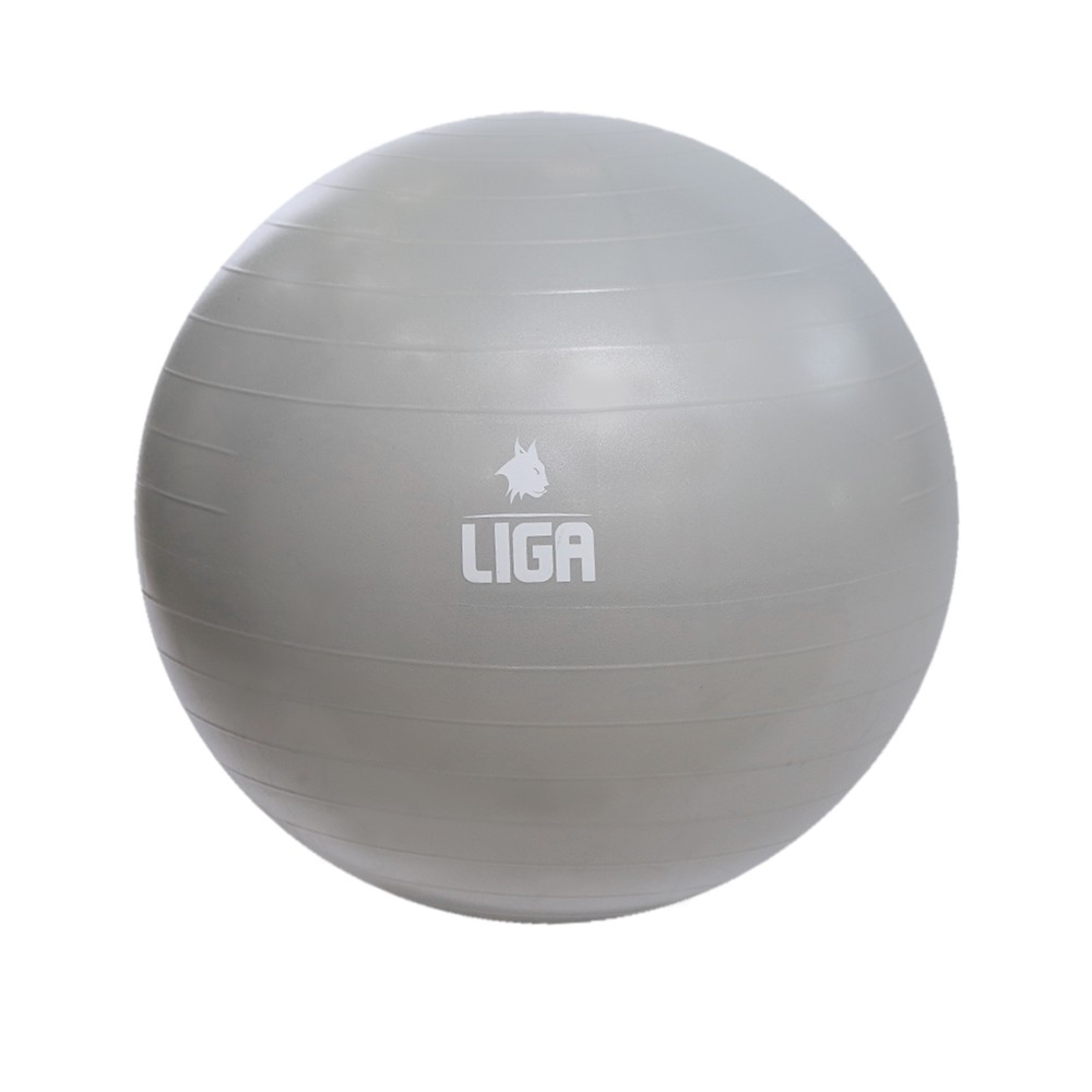 ../../aimeos/1.d/files/mpala-ghimnastikis-55cm-gym-ball-gkri-ligasport307612.jpeg
