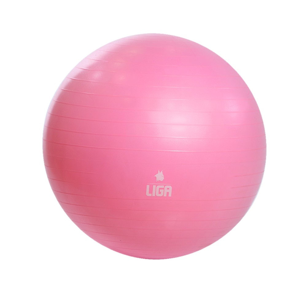 ../../aimeos/1.d/files/mpala-ghimnastikis-65cm-gym-ball-roz-ligasport307632.jpeg
