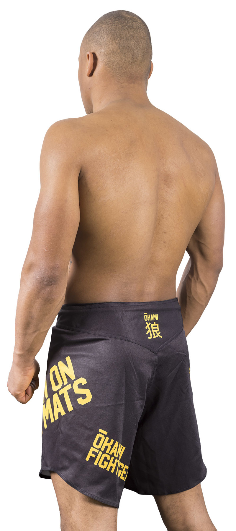 ../../aimeos/1.d/files/okami-motion-fightshorts-black265743.jpeg