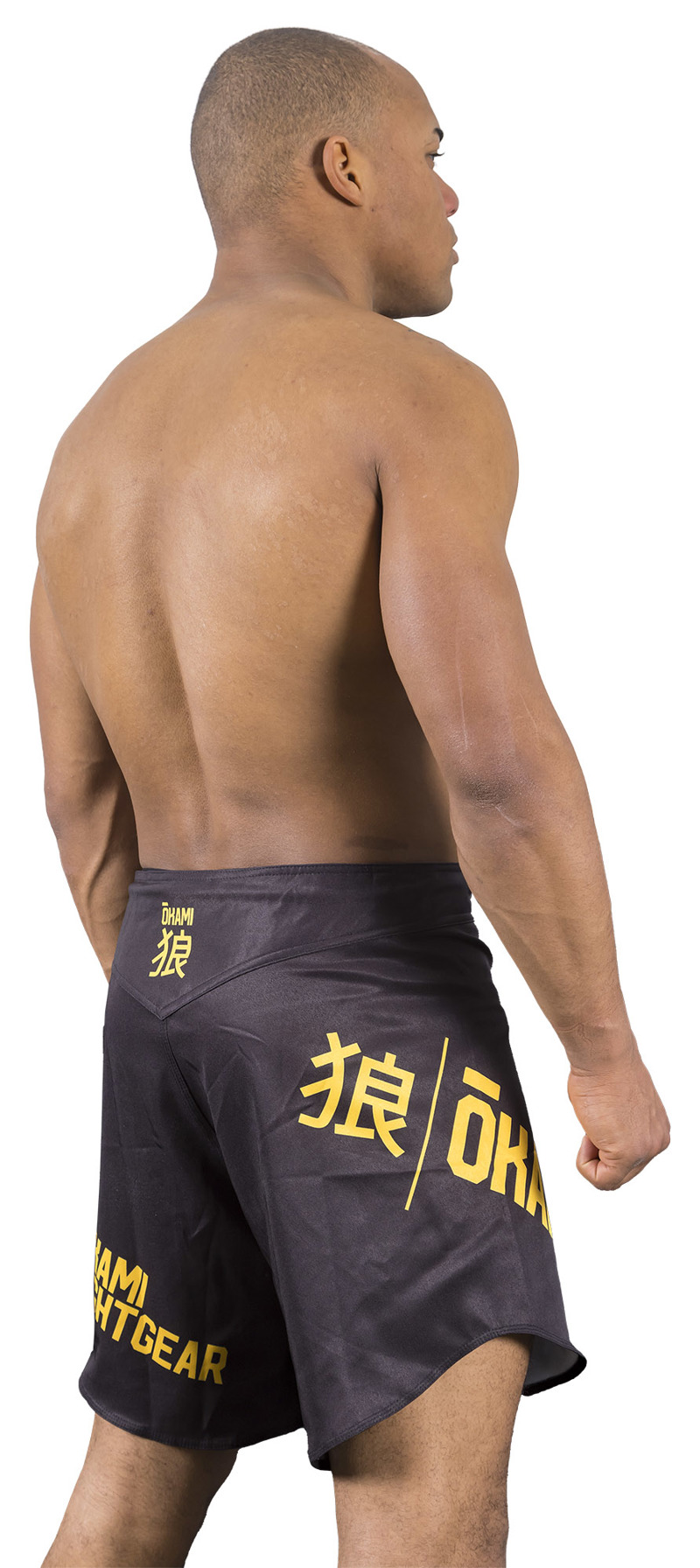../../aimeos/1.d/files/okami-motion-fightshorts-black265744.jpeg