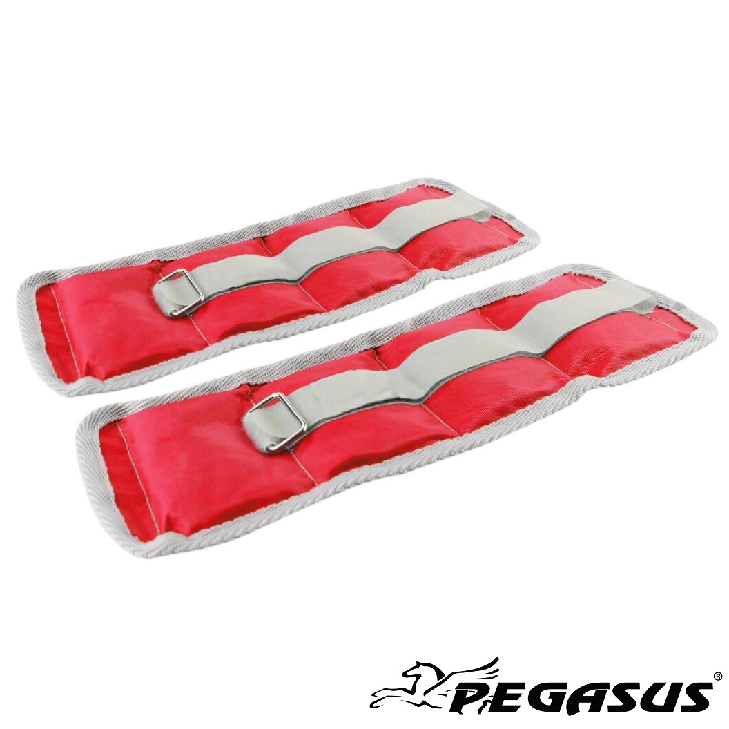 Pegasus® Βάρη Άκρων (1.0kg ‑ Zεύγος)