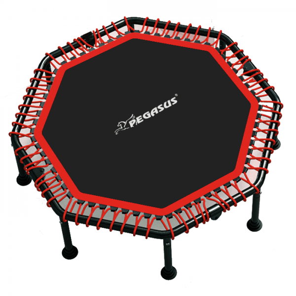 Pegasus® Τραμπολίνο 48" (122cm) Β 4503