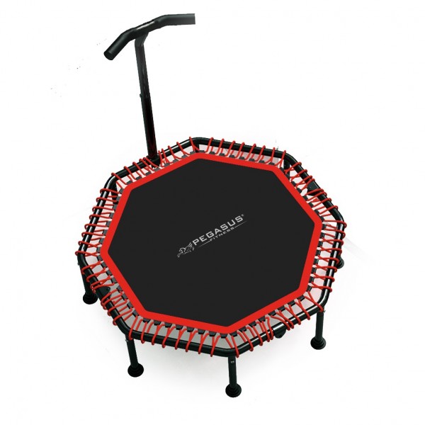 Pegasus® Τραμπολίνο με λαβή 48" (122cm) Β 4503 A