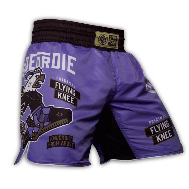 ../../aimeos/1.d/files/pride-or-die-flying-knee-mma-shorts-purple258612.jpeg