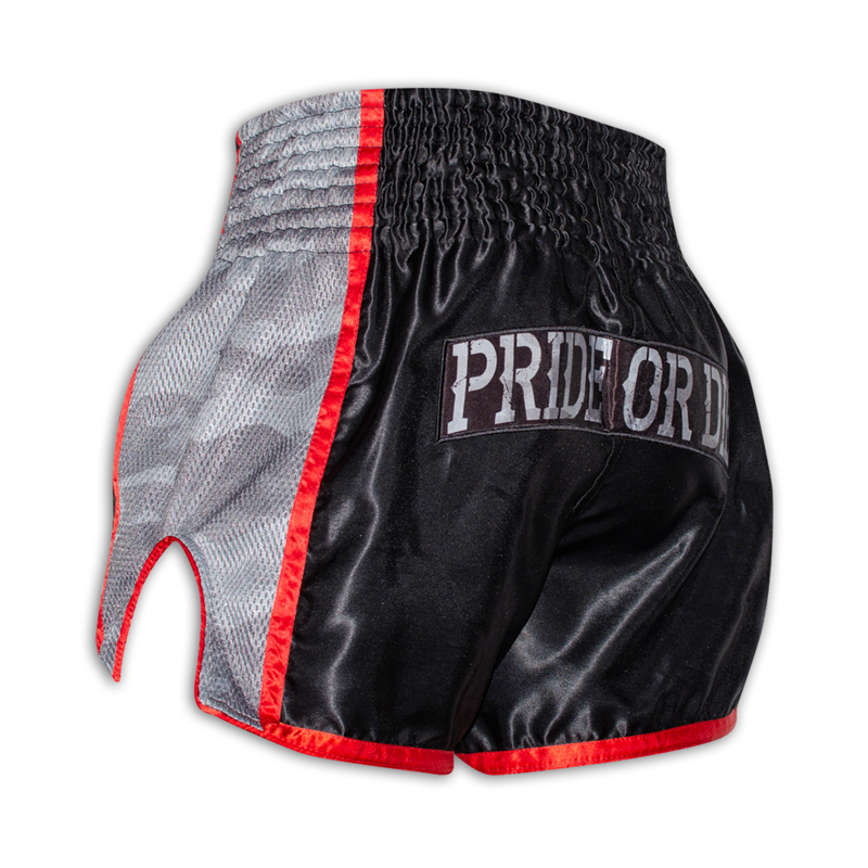 ../../aimeos/1.d/files/pride-or-die-raw-training-urban-muay-thai-shorts-black271904.jpeg