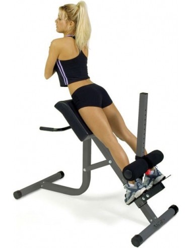 ../../aimeos/1.d/files/roman-chair-with-hyperextension-bodycraft-44716319164.jpeg