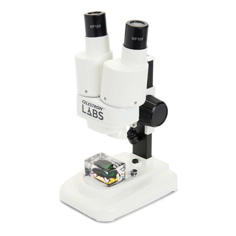 Στερεοσκοπικό Μικροσκοπιο Labs S20 Celestron