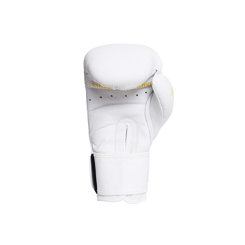 ../../aimeos/1.d/files/stormcloud-pro-boxing-gloves-white268603.jpeg
