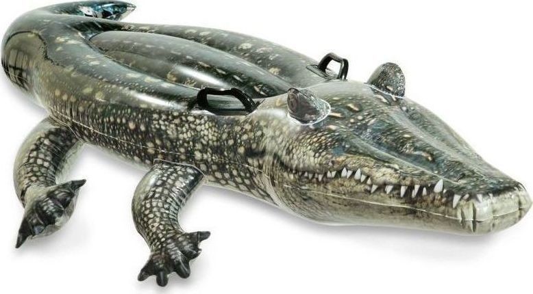 ../../aimeos/1.d/files/strwma-thalassis-foyskoto-realistic-gator-ride-on-intex-57551291732.jpeg