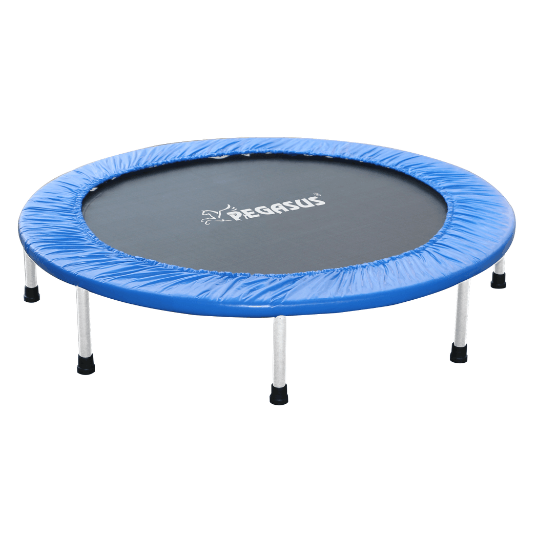 ../../aimeos/1.d/files/trampolino-pegasus-45-114cm-mple-3260306742.jpeg